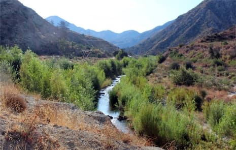 Thompson Creek Campground photo 3