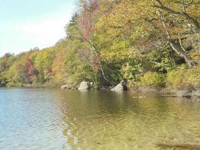 RUSSELL POND CAMPGROUND campground
