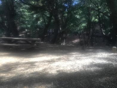 CHINA CAMP CAMPGROUND photo 3