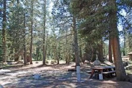 (LAKE ALPINE) SILVER TIP CAMPGROUND campground